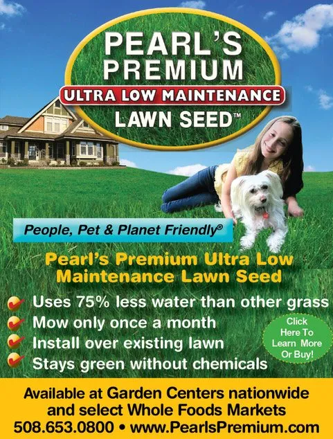 Expert landscape design with custom design across WAYLAND, MA - Pearls Premium Ultra Low Maintenance Lawn Seed