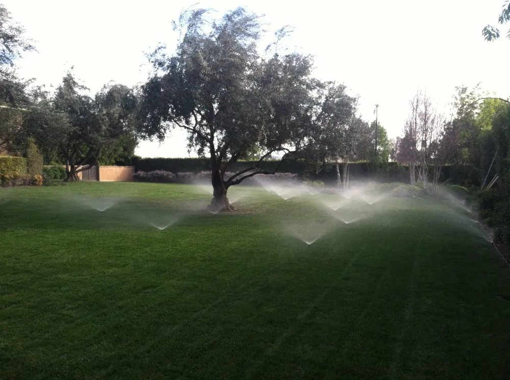 Professional yard cleanup service experts serving Simi Valley, CA - Peña’s Landscape Care