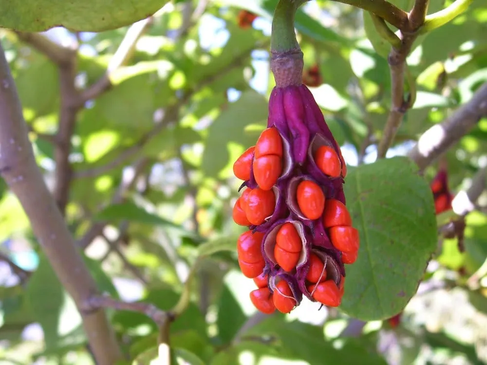 Affordable lawn care service in Newton, MA by Pease In Your Garden