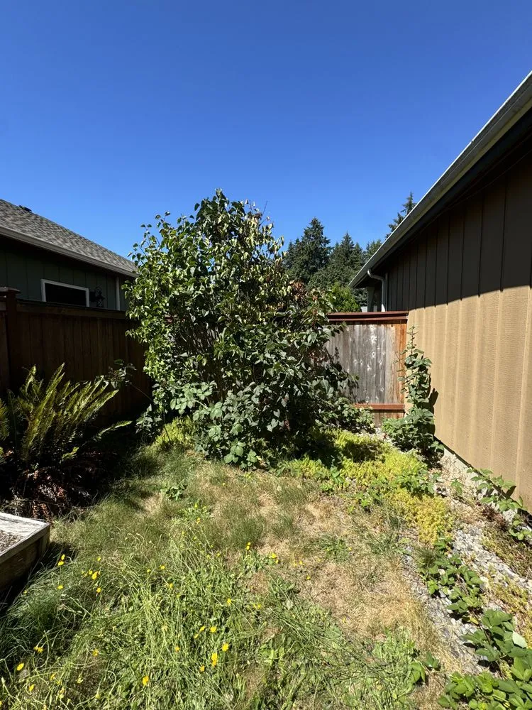 Local landscaping services in Puyallup, WA - Pease Landscaping