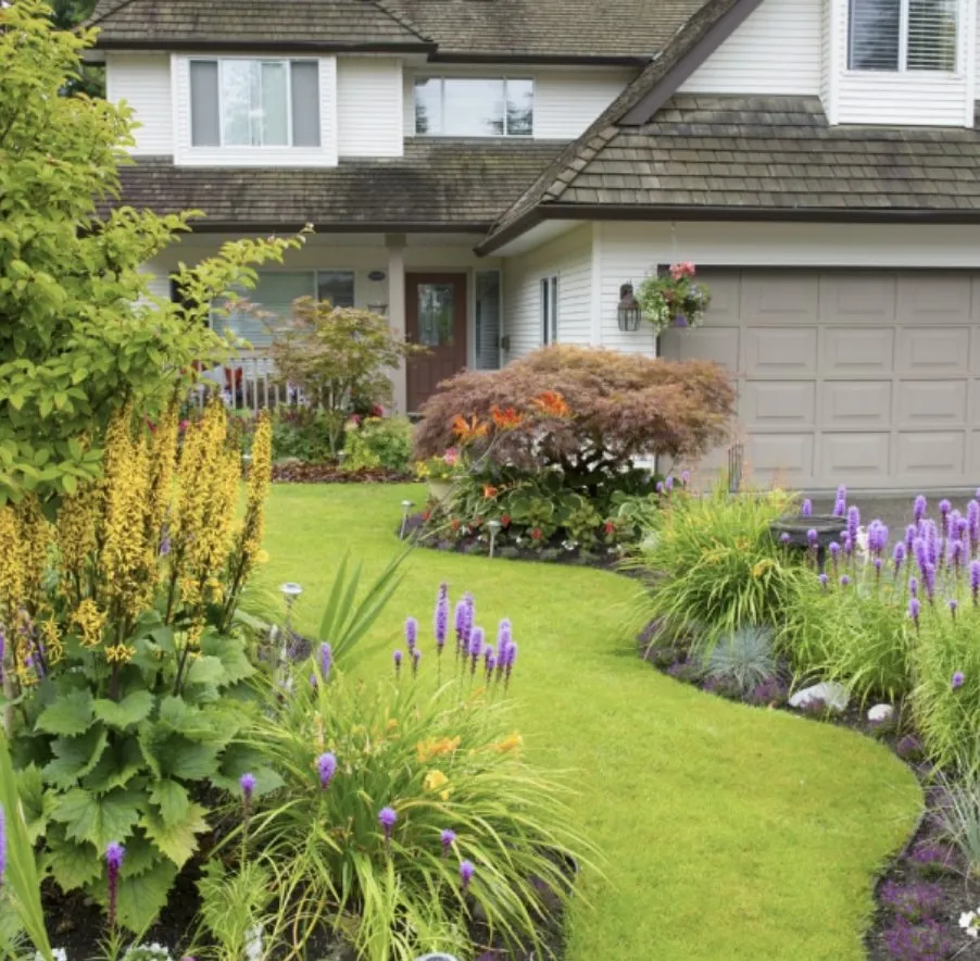Local lawn care service in Puyallup, WA by Pease Landscaping