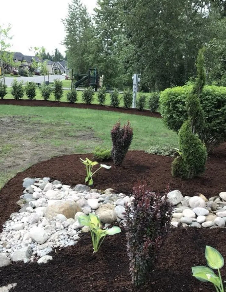 Affordable lawn care service experts serving Puyallup, WA - Pease Landscaping