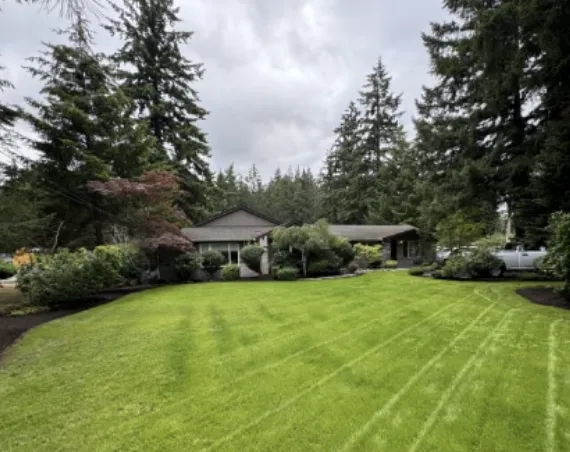 Reliable lawn care service experts serving Puyallup, WA - Pease Landscaping