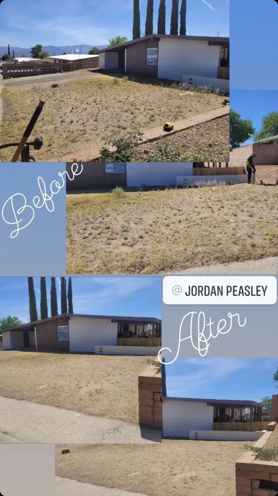 Trusted lawn mowing service in Catalina, AZ - Peasleys Landscaping