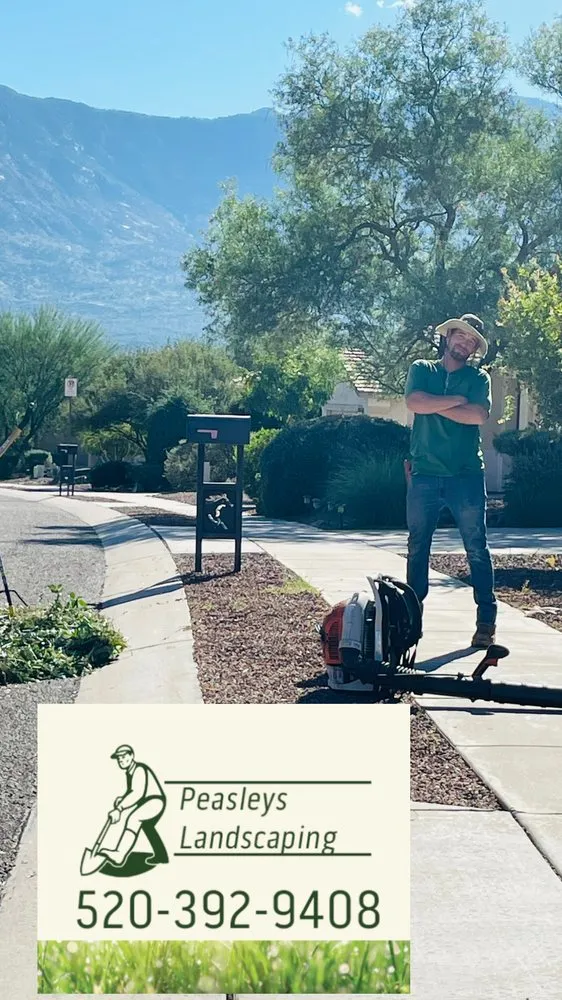 Custom garden landscaping experts serving Catalina, AZ - Peasleys Landscaping