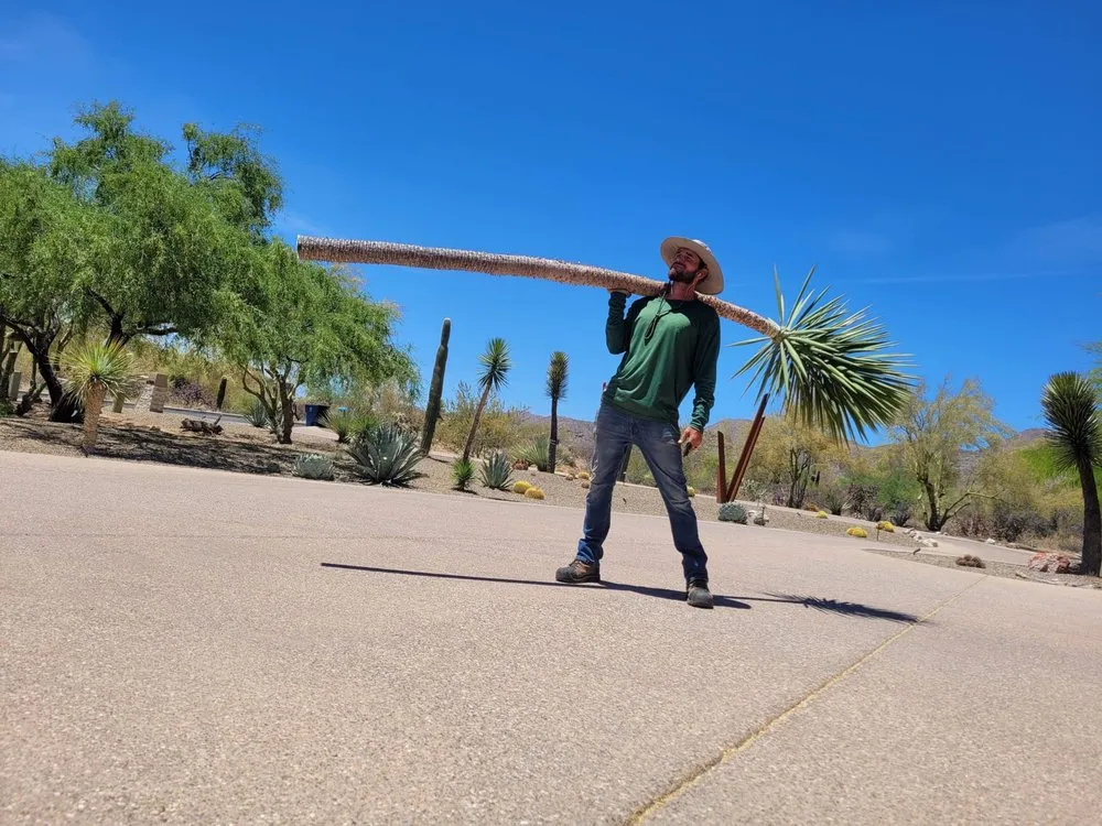 Custom lawn care service in Catalina, AZ by Peasleys Landscaping