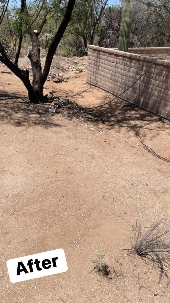 Top-rated residential landscaping for residential properties in Catalina, AZ by Peasleys Landscaping