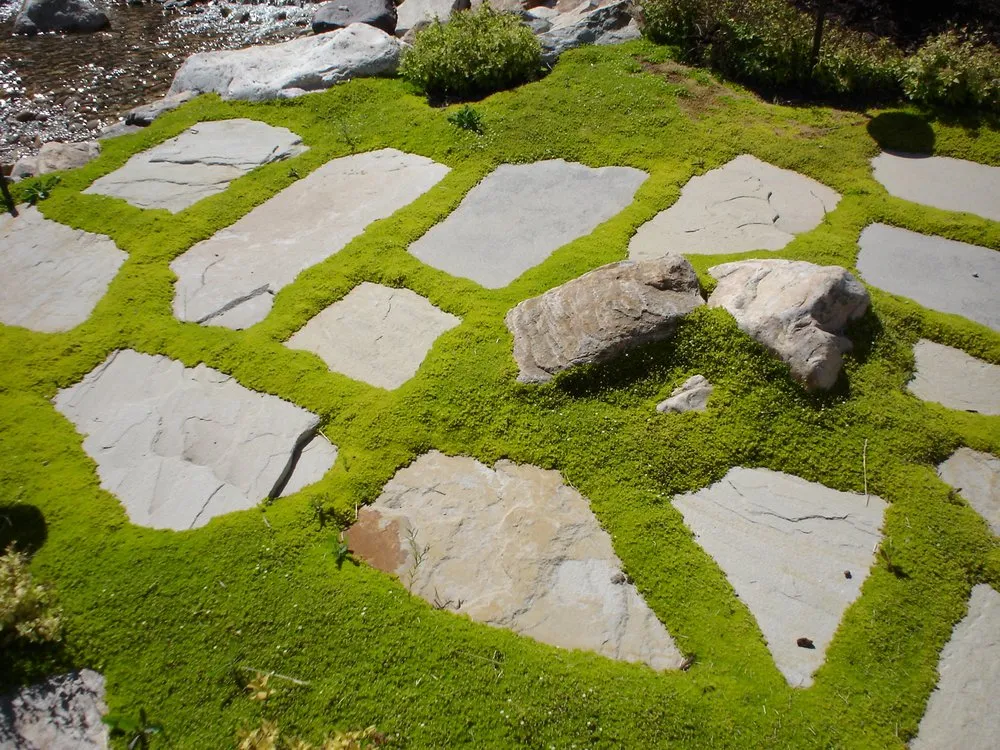 Professional lawn care service in Draper, UT - Pebble Creek Design