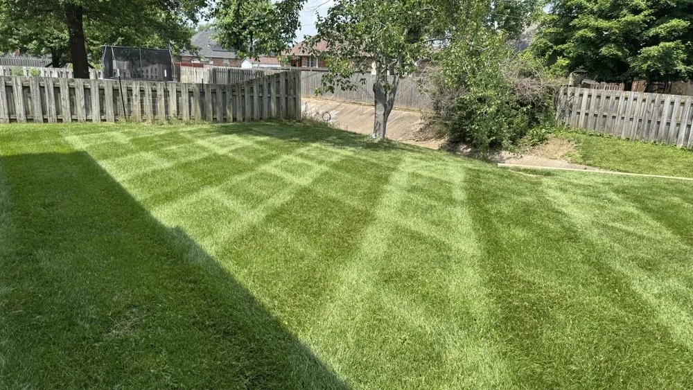 Trusted yard cleanup service experts serving Nixa, MO - Pebble Creek Mowing