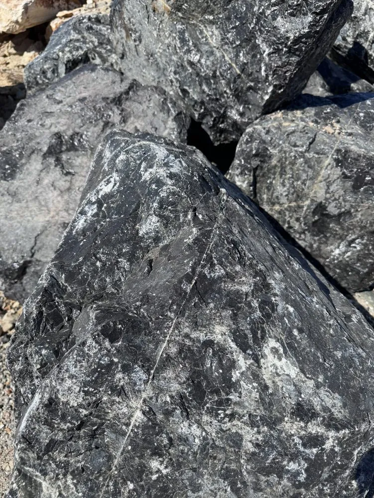 Affordable yard cleanup service in Sanford, FL by Pebble Junction