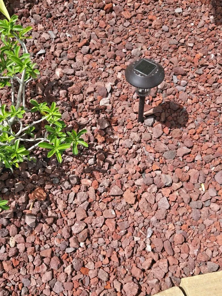 Trusted residential landscaping in Sanford, FL by Pebble Junction