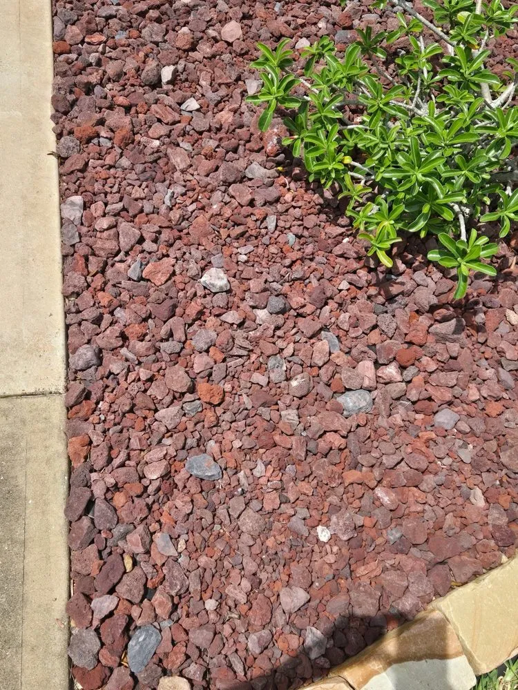 Top-rated residential landscaping in Sanford, FL by Pebble Junction