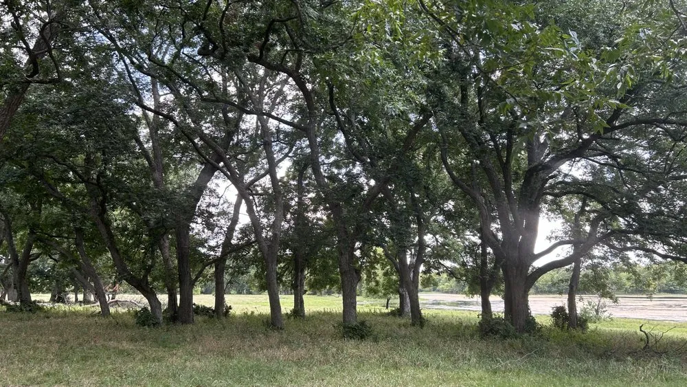 Reliable yard maintenance for beautiful yards in Valley View, TX by Pecan Bluff Lawn & Landscape