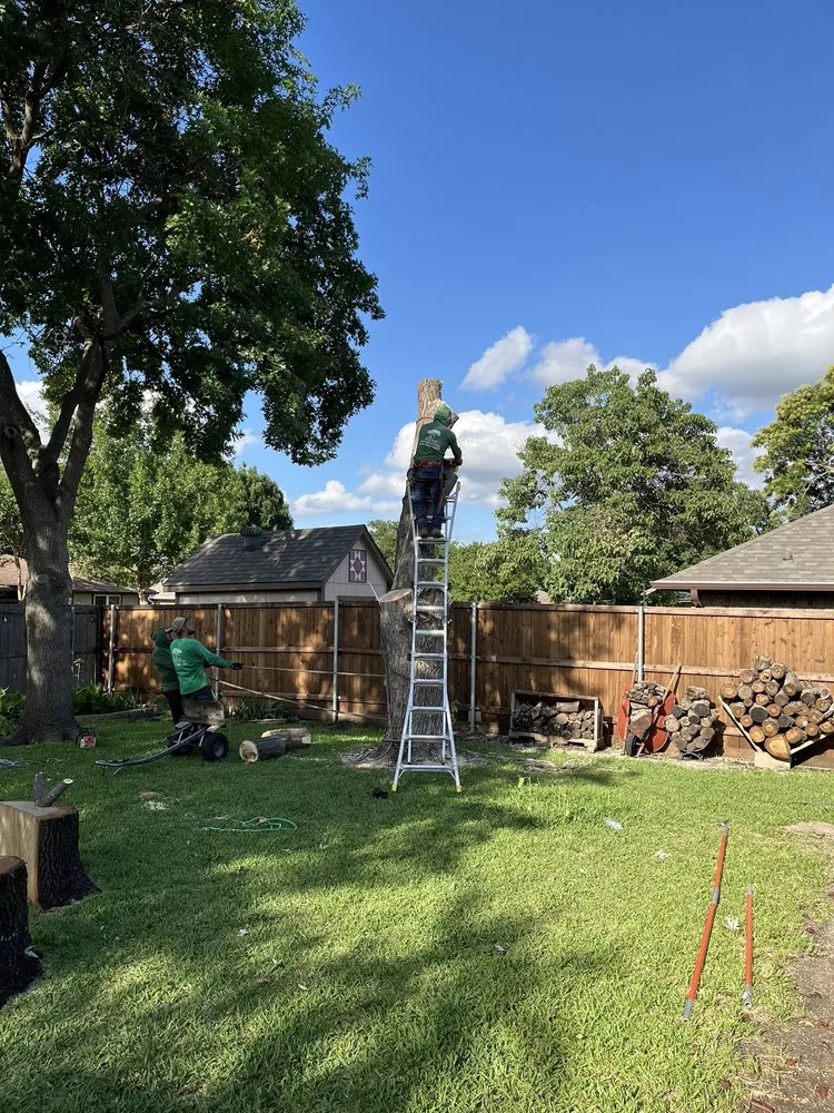 Reliable garden landscaping for beautiful yards across Garland, TX - Pecan Tree Service