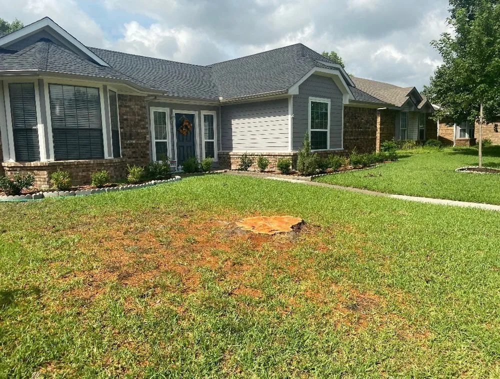 Reliable yard cleanup service experts serving Garland, TX - Pecan Tree Service