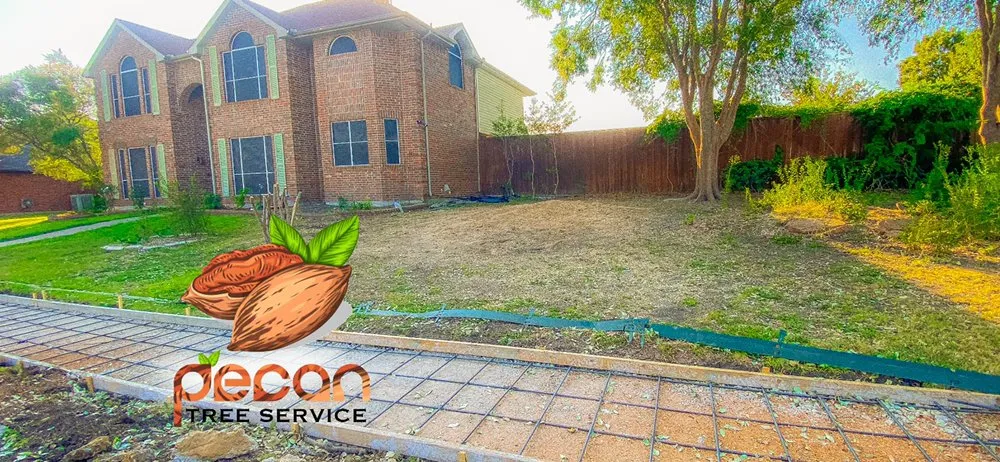 Professional landscape design experts serving Garland, TX - Pecan Tree Service