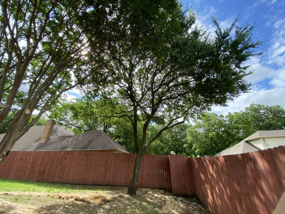 Professional lawn mowing service for residential properties across Garland, TX - Pecan Tree Service