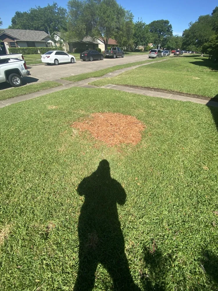 Reliable lawn mowing service in Garland, TX by Pecan Tree Service