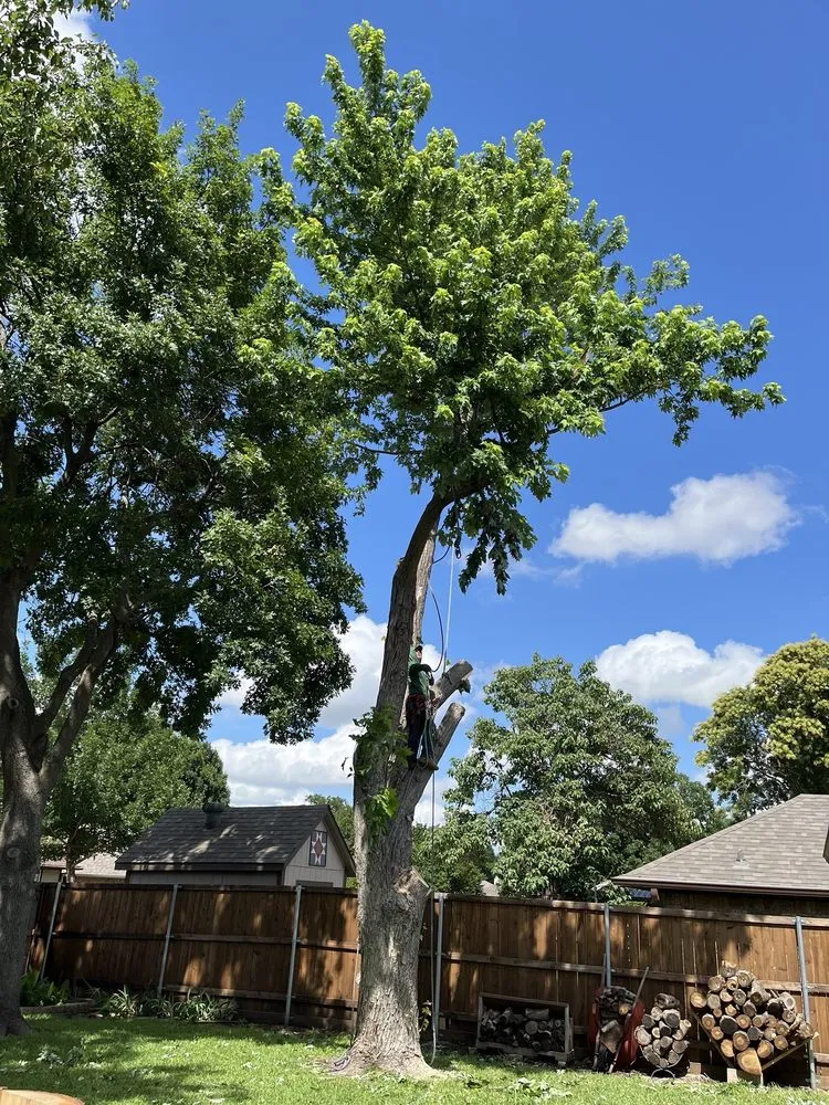 Trusted garden landscaping with custom design across Garland, TX - Pecan Tree Service