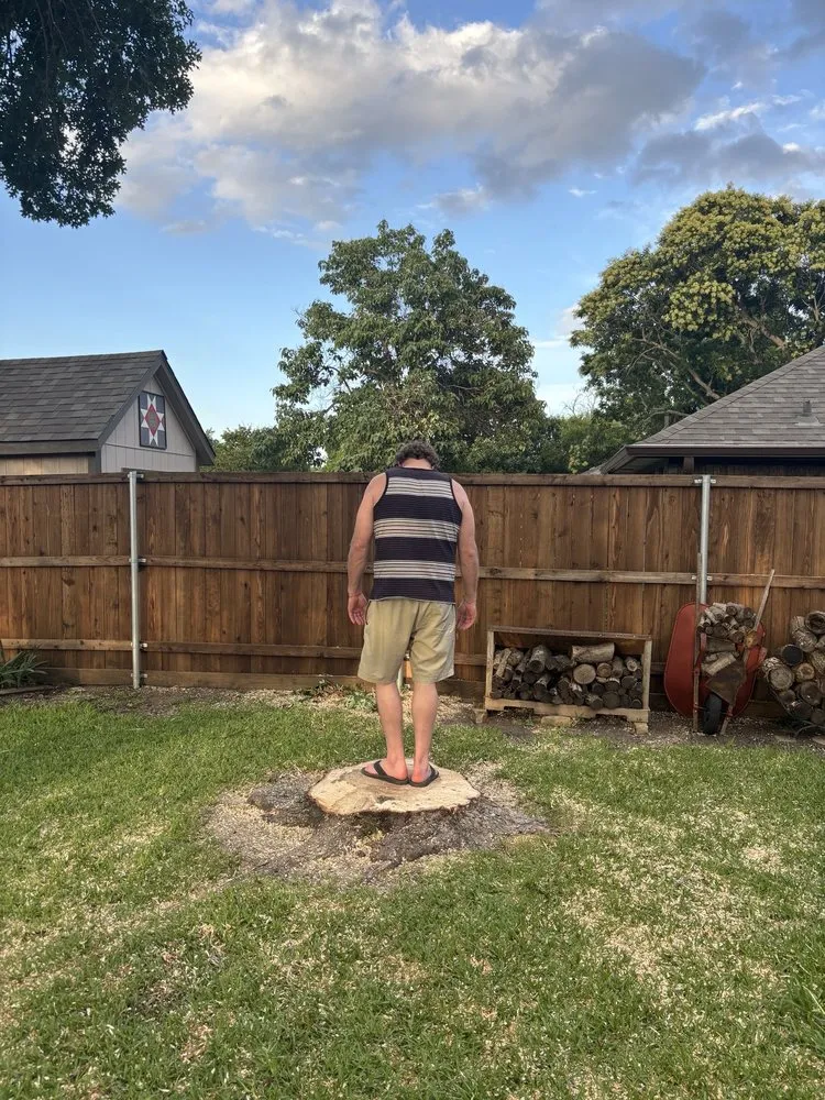 Expert yard cleanup service experts serving Garland, TX - Pecan Tree Service