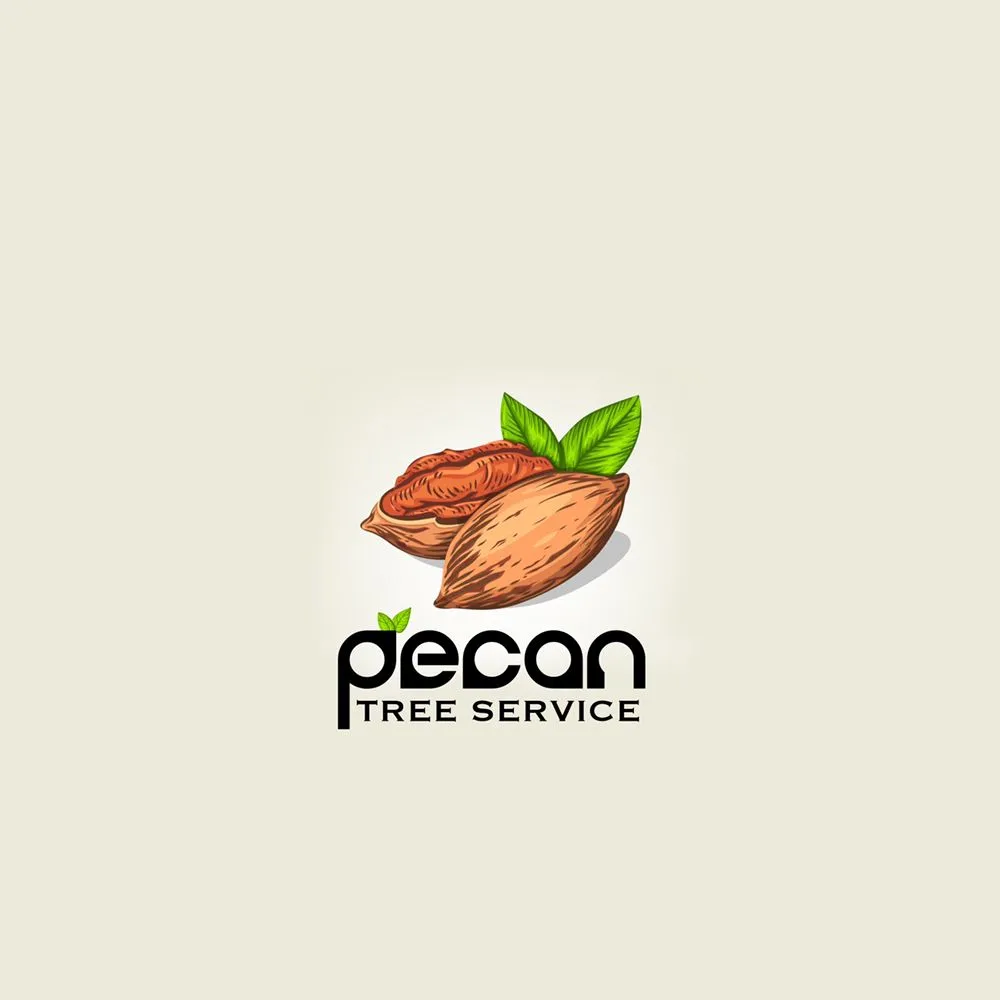 Affordable landscape design in Garland, TX - Pecan Tree Service