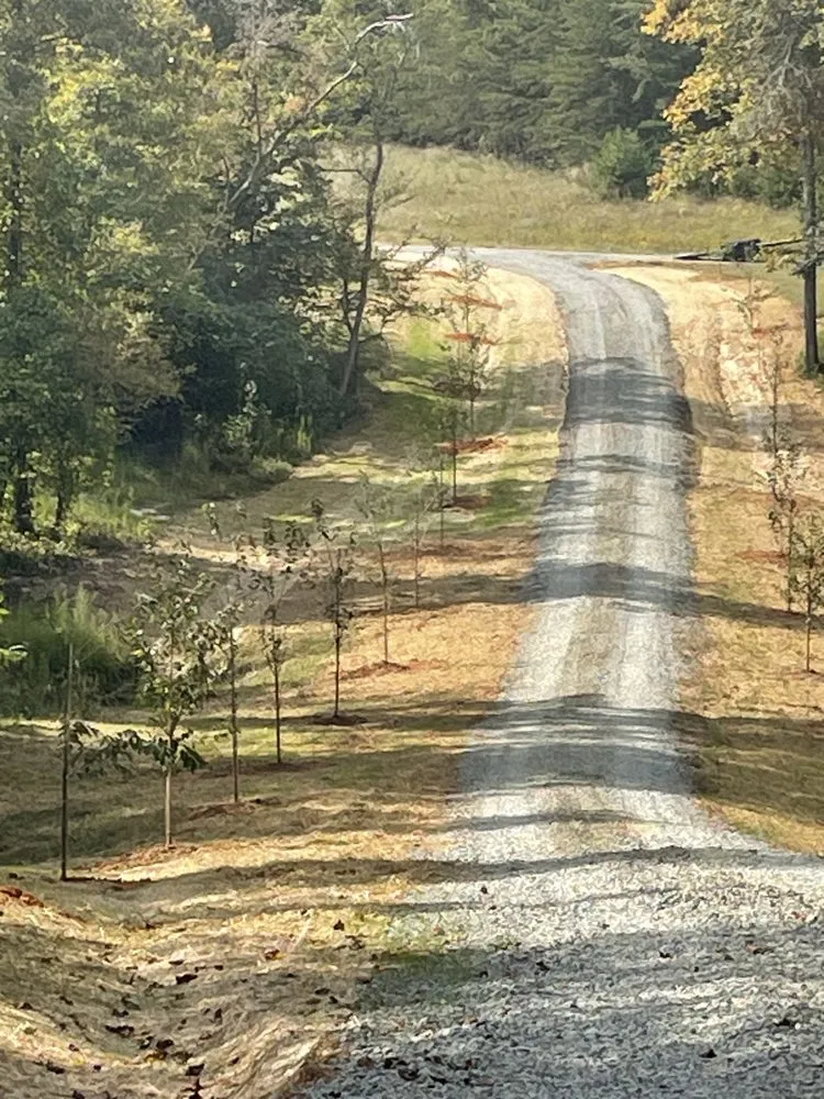 Expert yard maintenance in Mayodan, NC - Peche’s Landscaping & lawncare