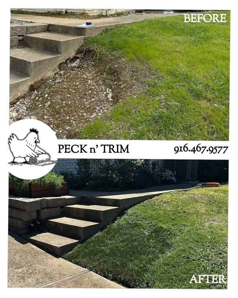 Professional landscape design in Fair Oaks, CA by Peck n' Trim