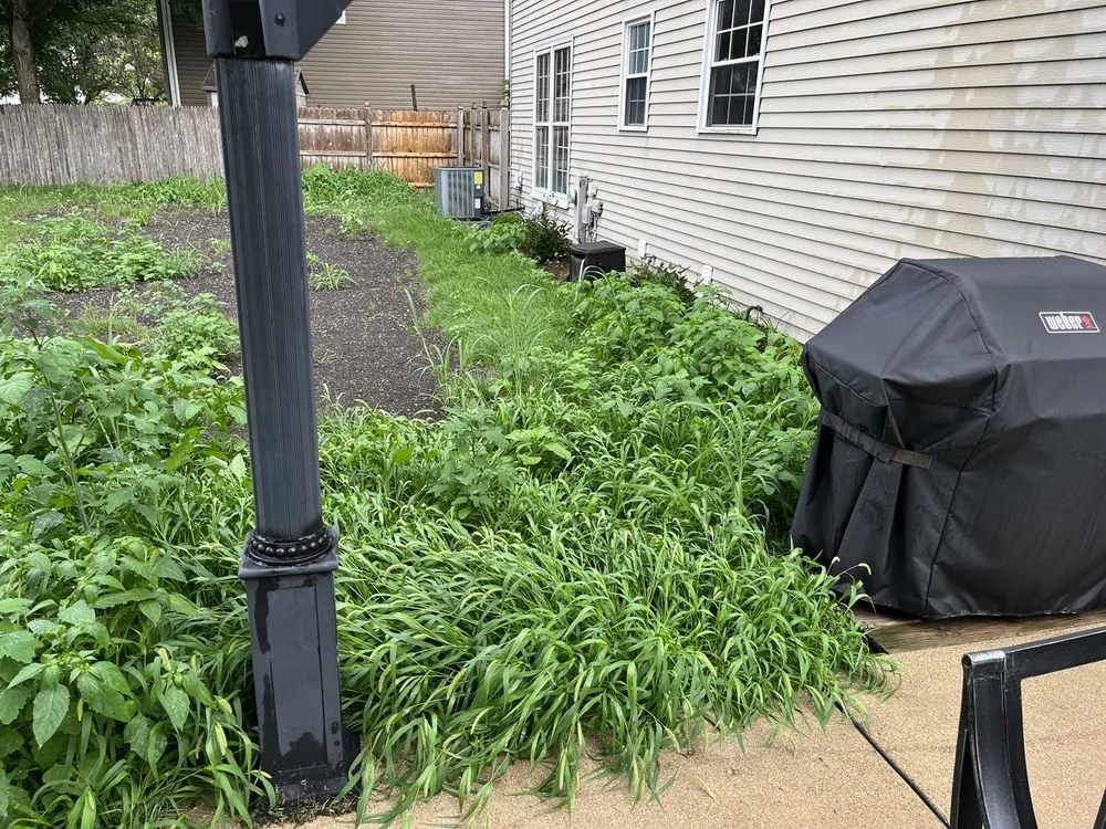 Custom lawn mowing service experts serving Downers Grove, IL - Peckhart Landscaping