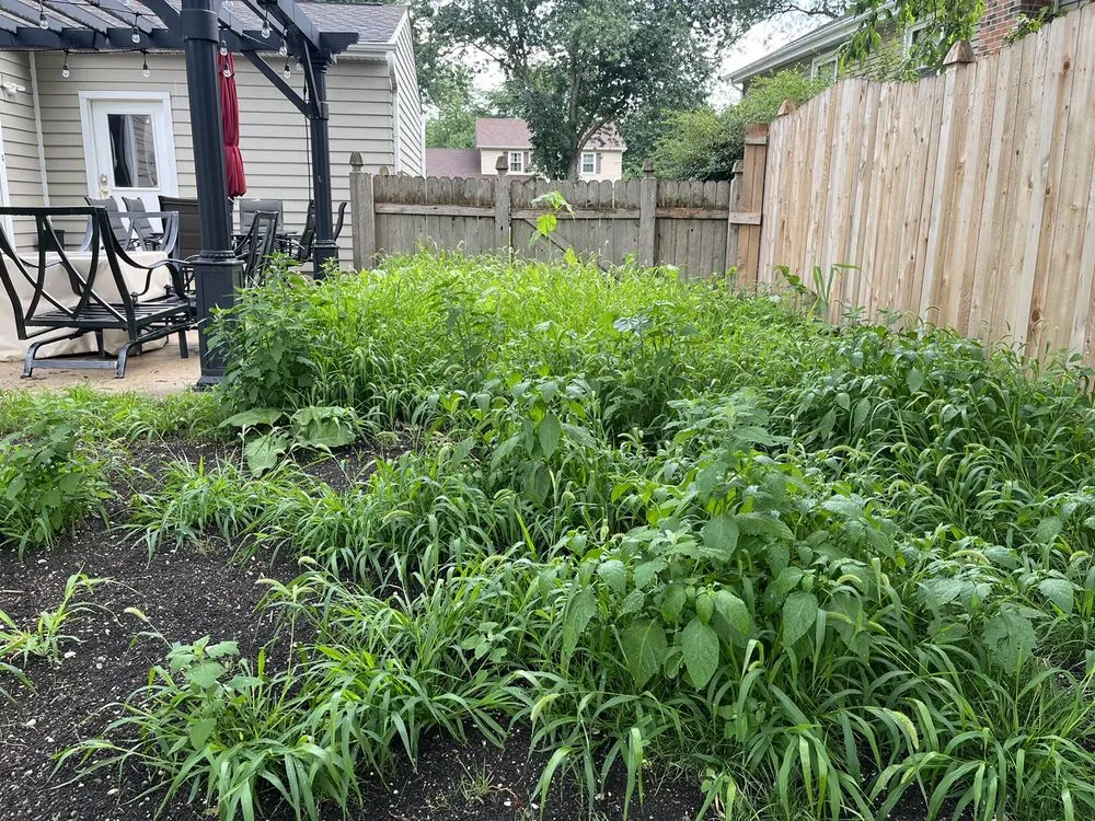 Custom lawn care service with custom design across Downers Grove, IL - Peckhart Landscaping