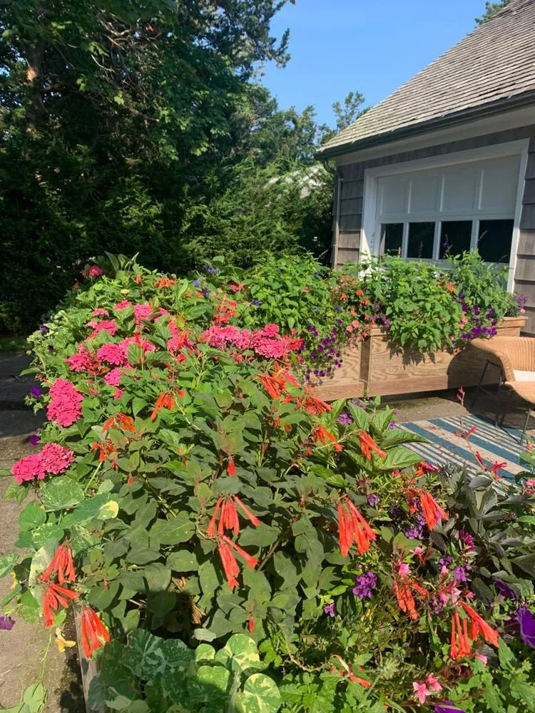 Reliable yard cleanup service in Southold, NY by Peconic Garden and Landscaping