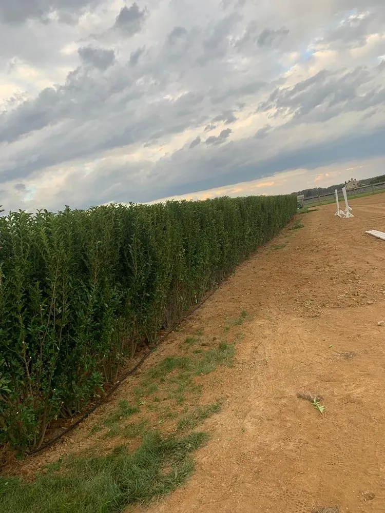 Reliable yard cleanup service experts serving Southold, NY - Peconic Garden and Landscaping