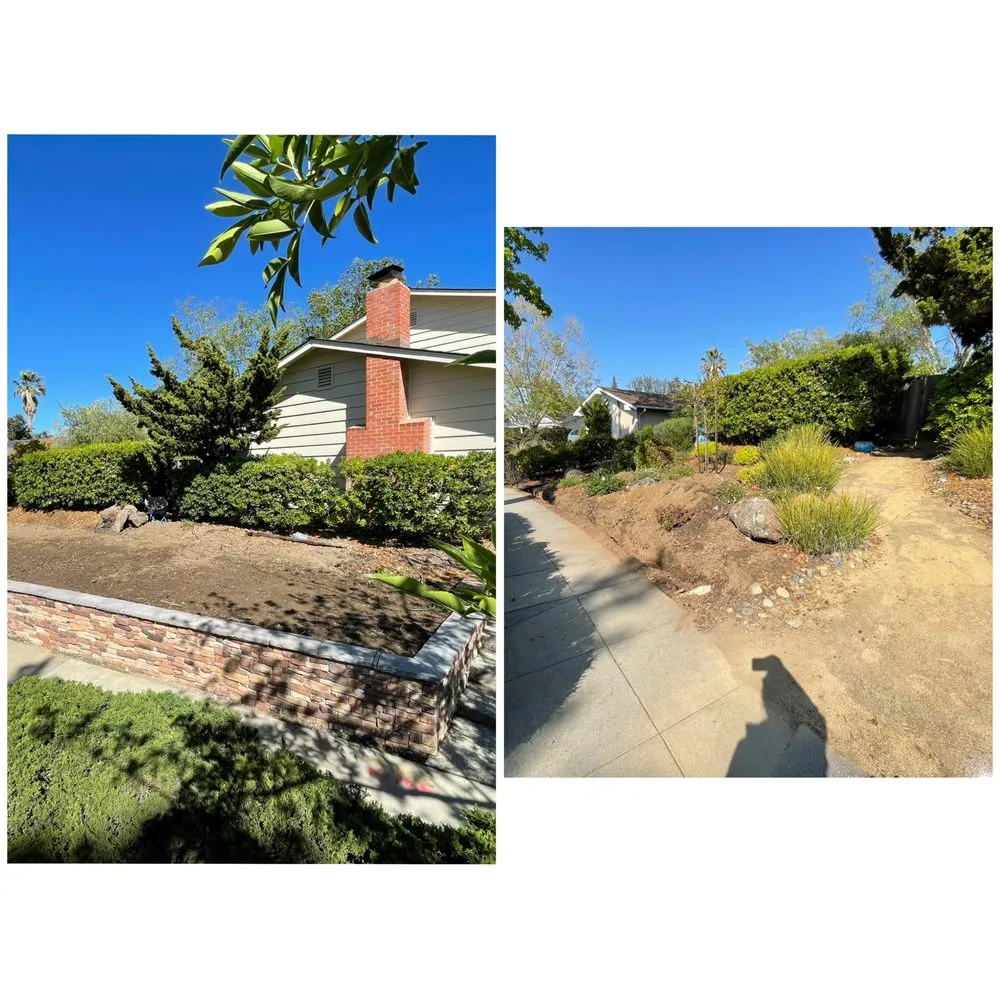 Affordable lawn mowing service in East Palo Alto, CA by Peculiar Landscaping