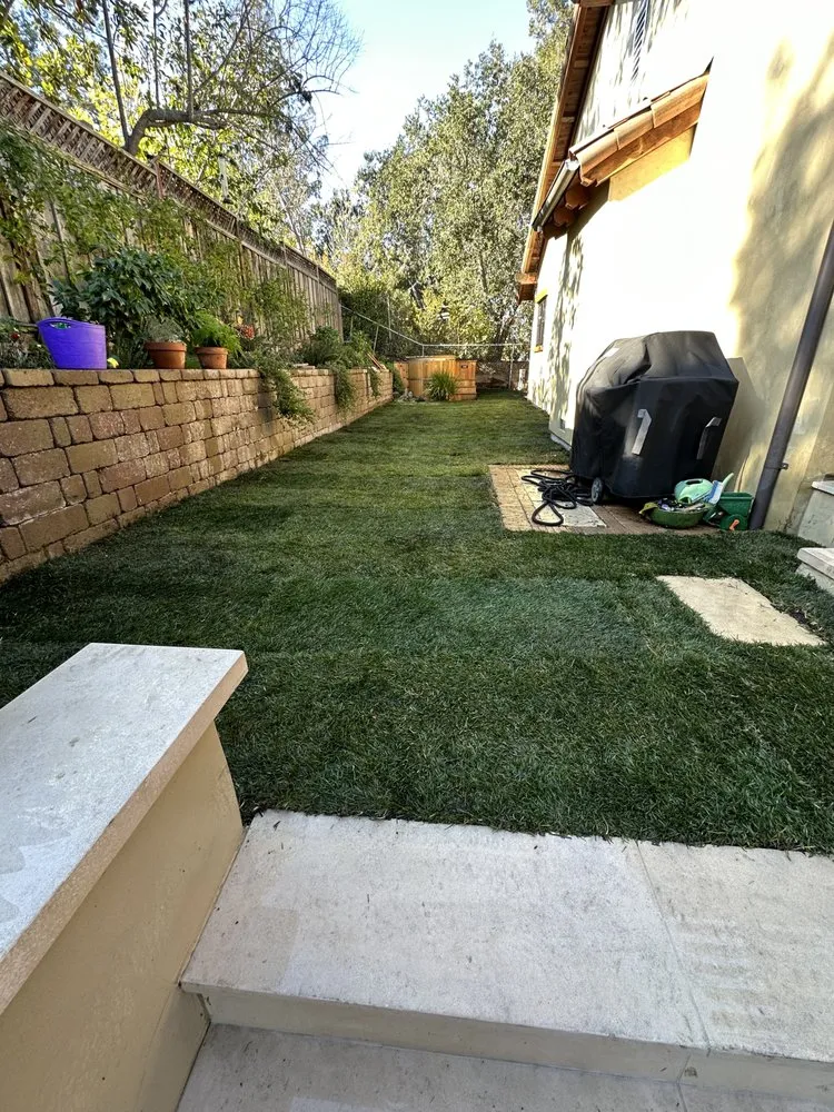 Top-rated landscape installation experts serving East Palo Alto, CA - Peculiar Landscaping