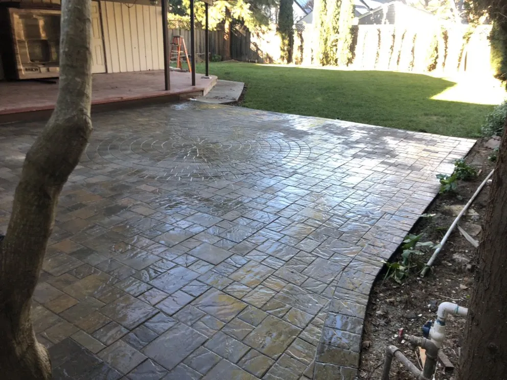 Expert yard cleanup service in East Palo Alto, CA - Peculiar Landscaping