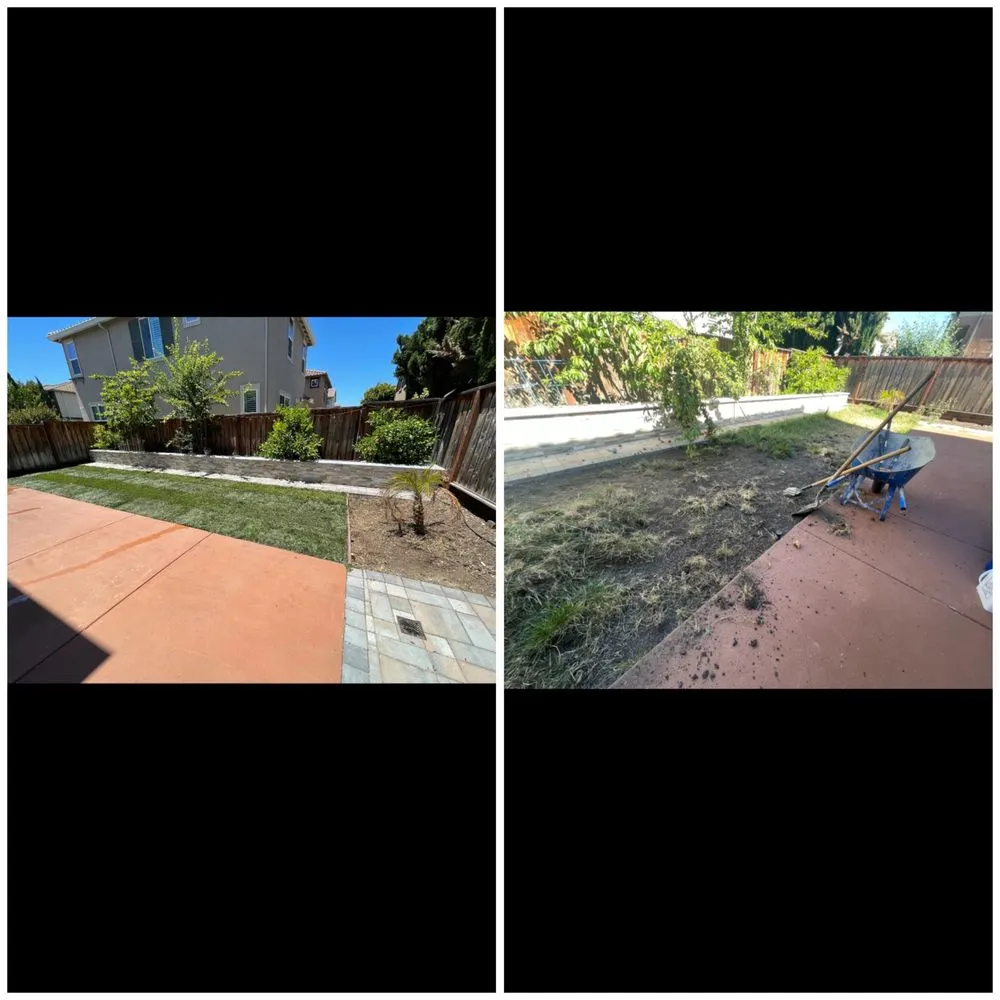 Local yard maintenance in East Palo Alto, CA - Peculiar Landscaping