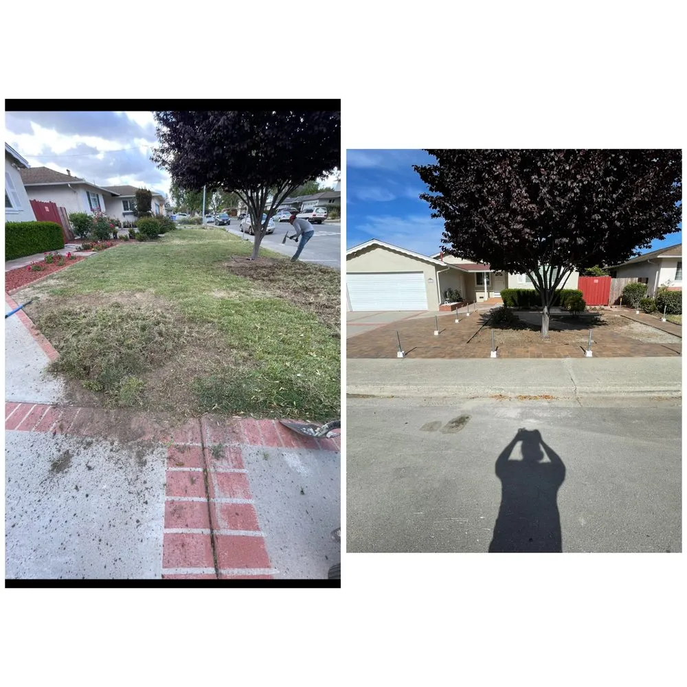 Reliable residential landscaping in East Palo Alto, CA - Peculiar Landscaping