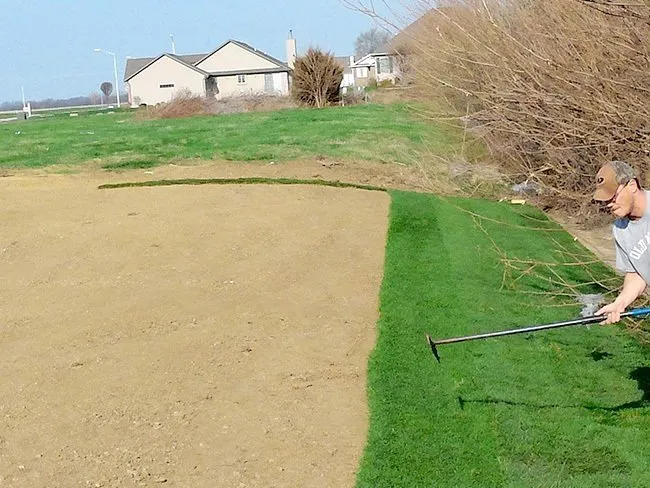 Custom landscape installation in Chatham, IL by Pedigo