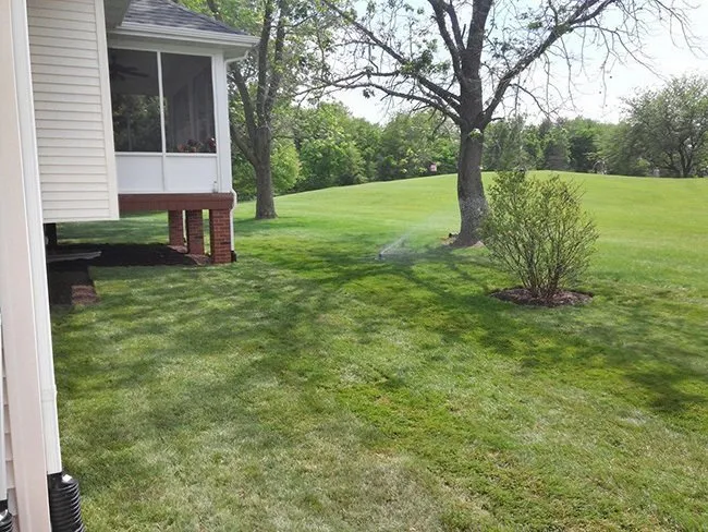 Expert yard cleanup service experts serving Chatham, IL - Pedigo