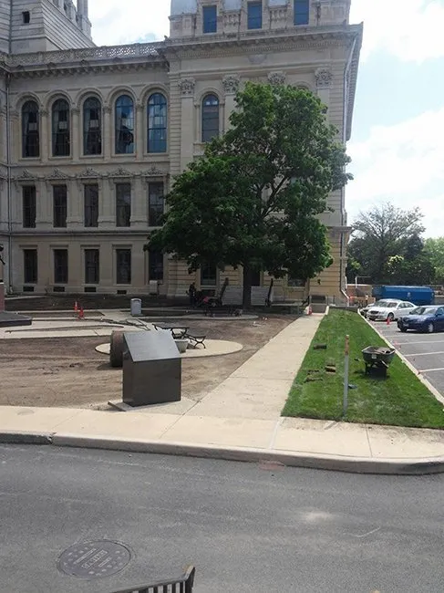 Professional yard cleanup service in Chatham, IL by Pedigo