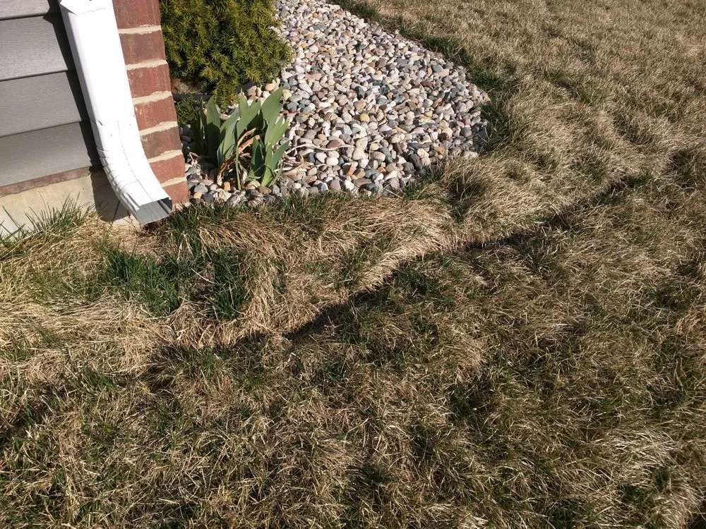 Custom lawn mowing service for year-round maintenance across Springfield, IL - Pedigo Exterior Drainage Services