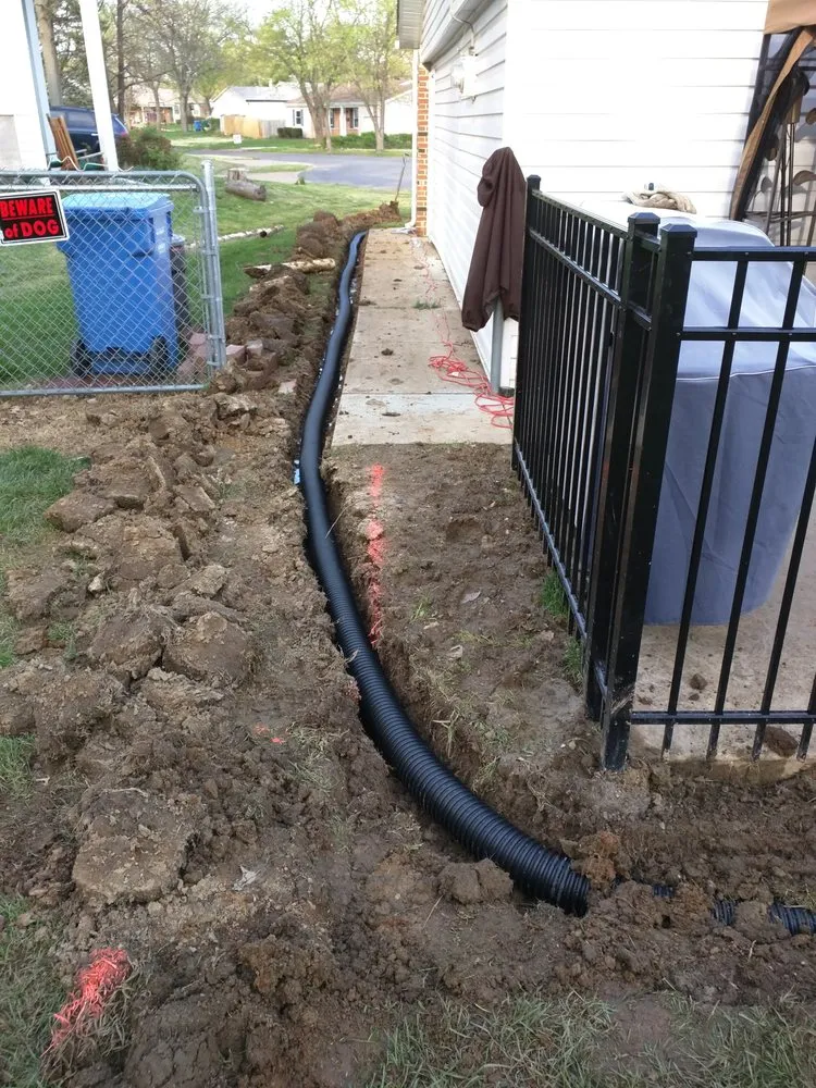 Affordable yard cleanup service in Springfield, IL by Pedigo Exterior Drainage Services