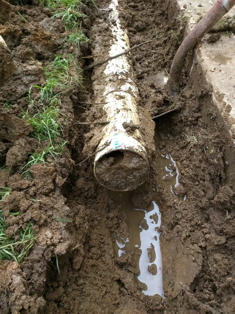 Reliable yard cleanup service near you in Springfield, IL by Pedigo Exterior Drainage Services