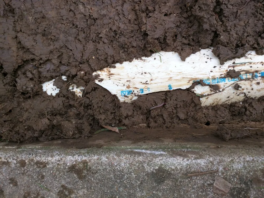 Affordable landscape installation for homes across Springfield, IL - Pedigo Exterior Drainage Services