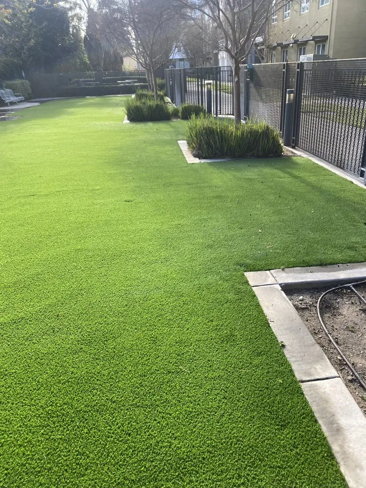 Professional lawn care service near you in Stockton, CA by Pedraza Garden