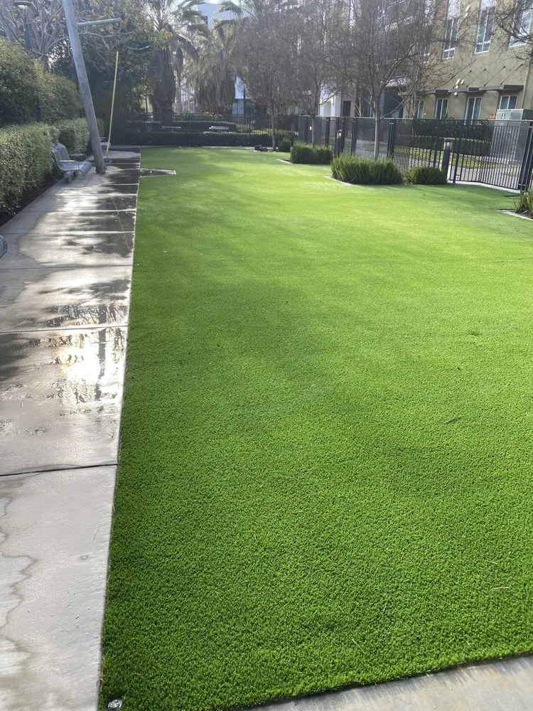 Top-rated lawn care service experts serving Stockton, CA - Pedraza Garden