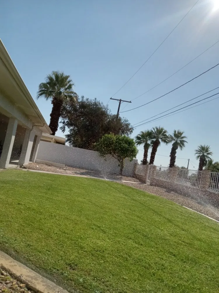 Affordable landscape installation for outdoor upgrades across La Quinta, CA - Pedraza Landscape & Services