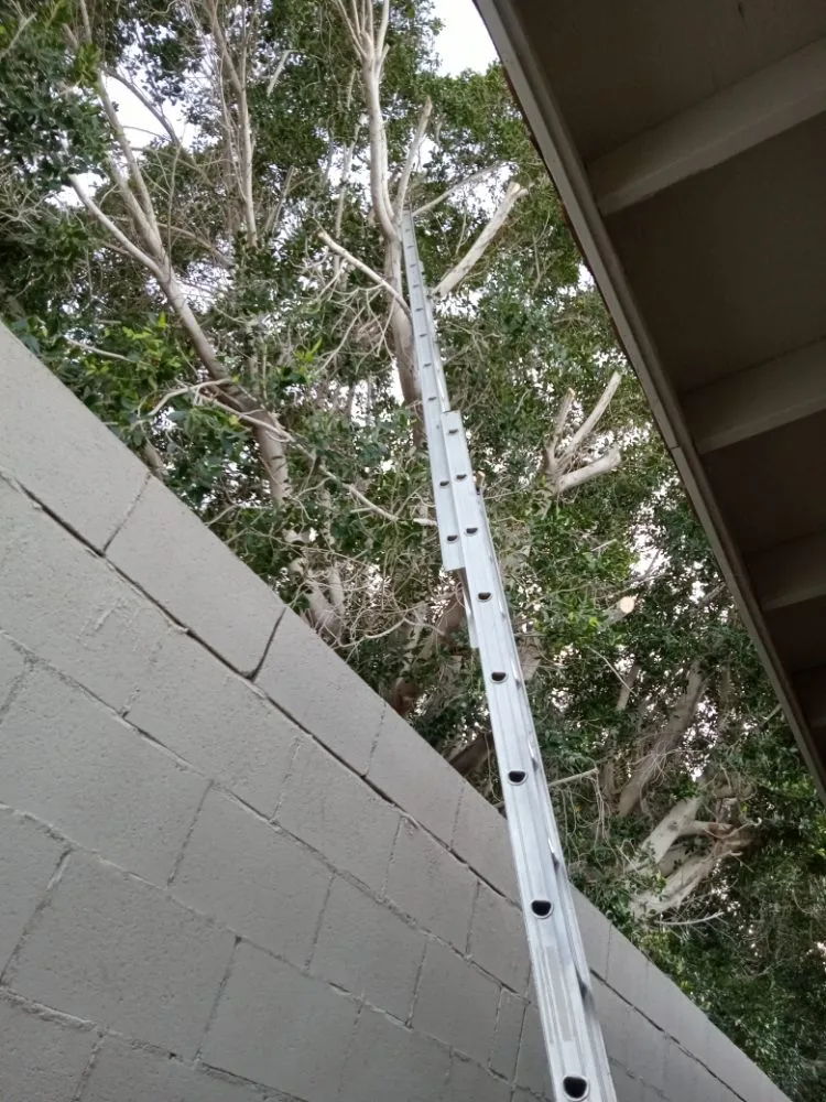 Expert landscape design for residential properties in La Quinta, CA by Pedraza Landscape & Services