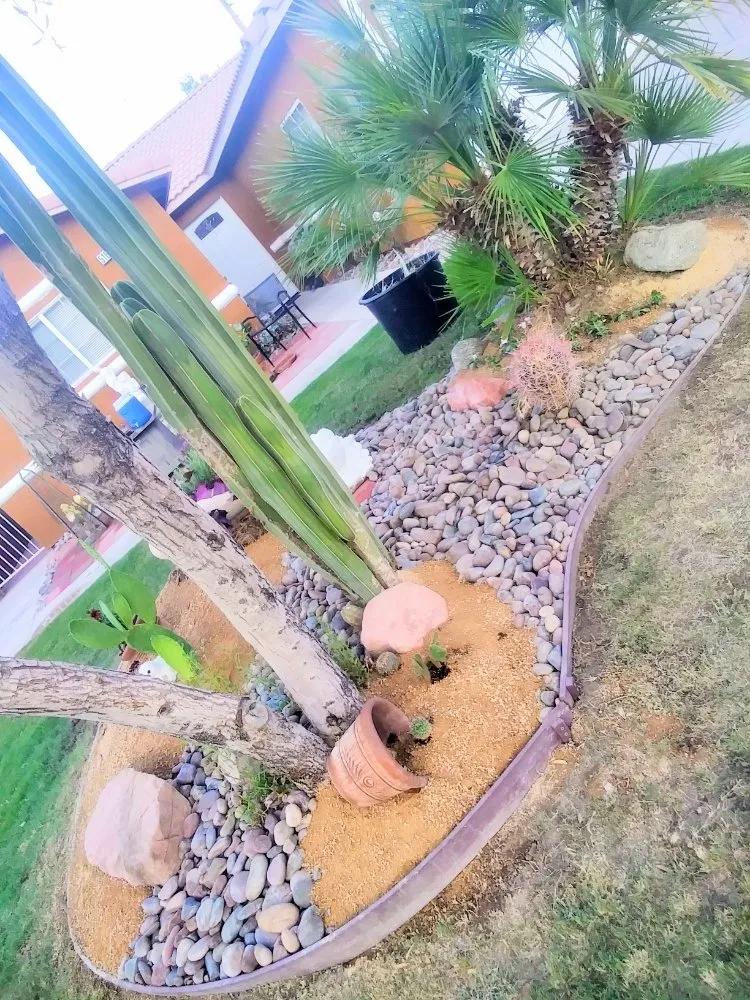 Custom yard maintenance experts serving La Quinta, CA - Pedraza Landscape & Services