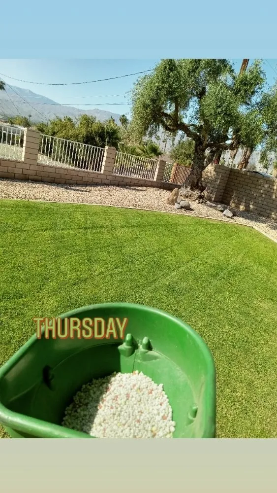 Reliable lawn mowing service in La Quinta, CA - Pedraza Landscape & Services