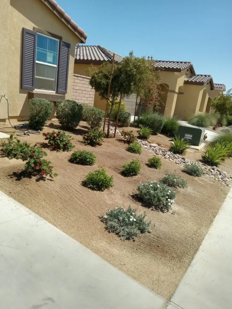 Affordable residential landscaping experts serving La Quinta, CA - Pedraza Landscape & Services